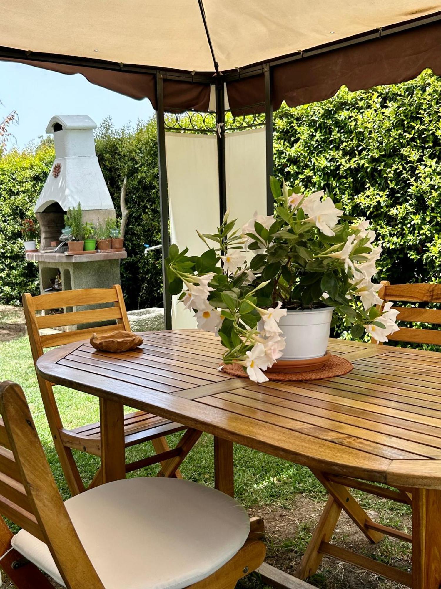 Appartement Alto Giardino à Zambrone Extérieur photo